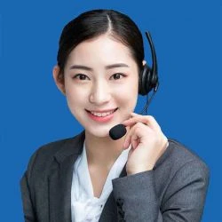미스 린다 루,창조적 인 디자인 조수
